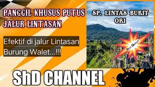 Download lagu SP LINTAS BUKIT ORI || @ShD_Channel mp3