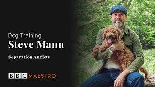 Steve Mann - Separation Anxiety - Dog Training – BBC Maestro