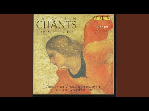 Viri Galilaei, quid admiramini aspicientes in caelum?