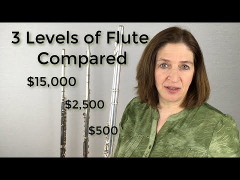 3 Levels of Flute Compared Professional vs Beginner and Intermediate