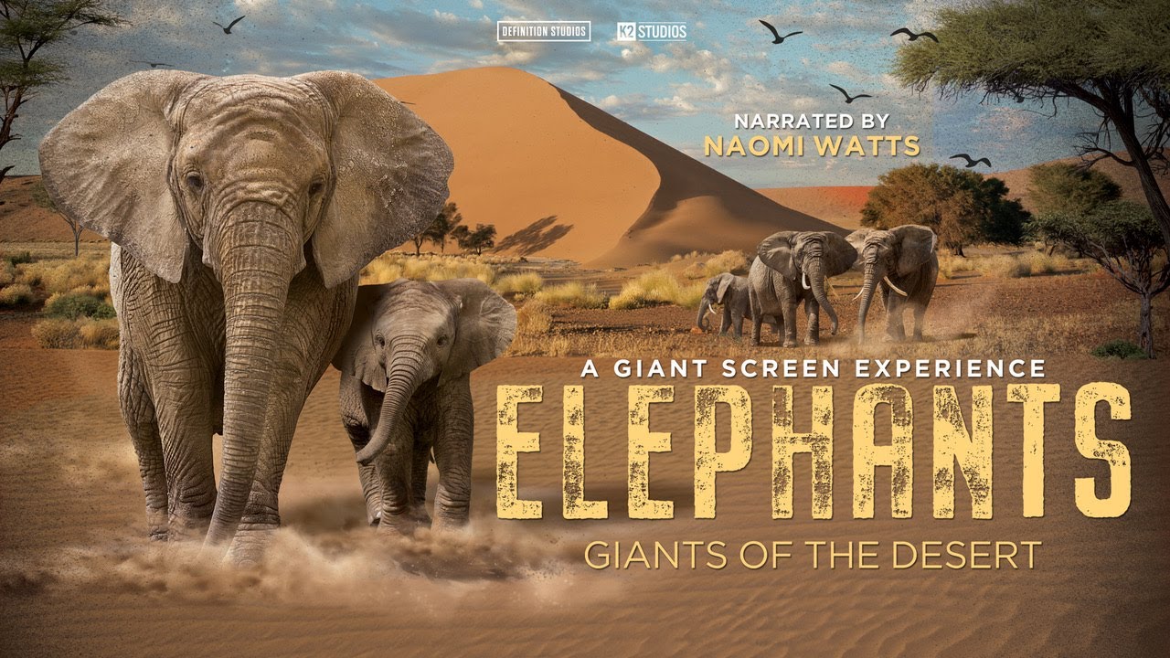 Elephants Narrated by Naomi Watts Trailer