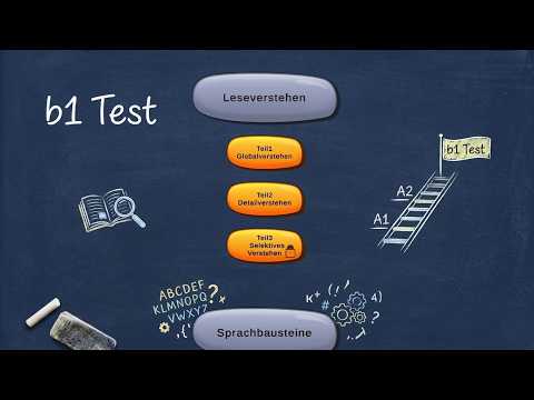 B1 Test