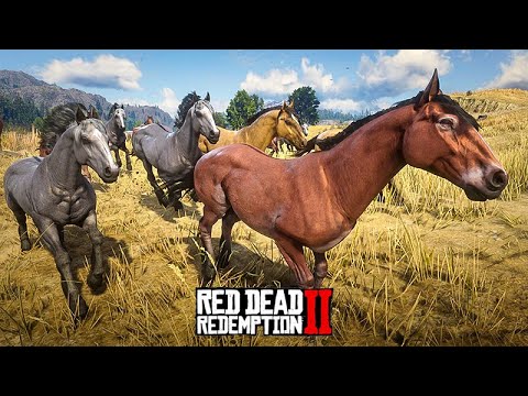 WILD MUSTANG MIGRATION - Red Dead Redemption 2