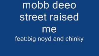 mobb deep street raised me