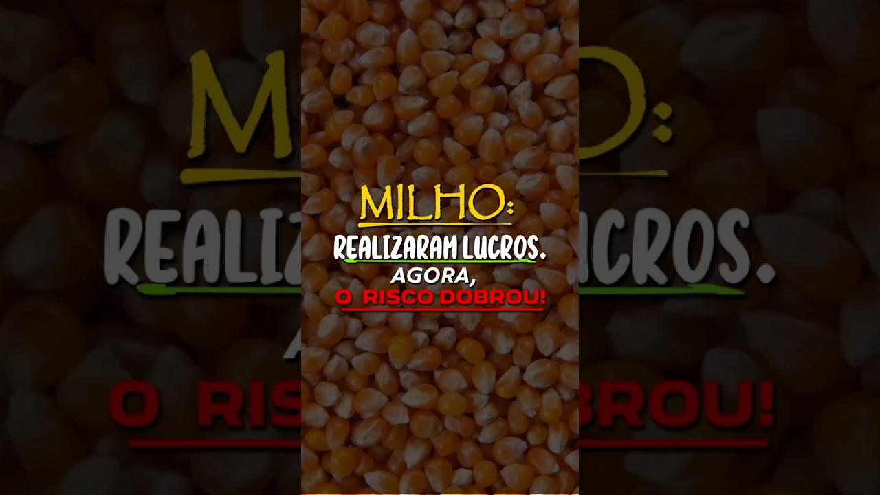 MILHO: REALIZARAM LUCROS. AGORA, O RISCO DOBROU!