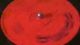 TIGER have you ever been hurt