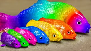 Funny Fish Videos❤️ Stop Motion Funny ASMR Video Full Carp, Koi Fish, Catfish, Crab, Eel, Egg