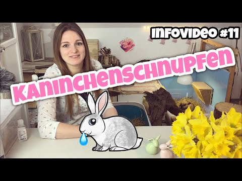 , title : 'Kaninchenschnupfen | Infovideo'