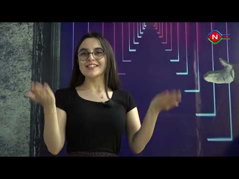 Birlikdə öyrənək - 02.07.2022