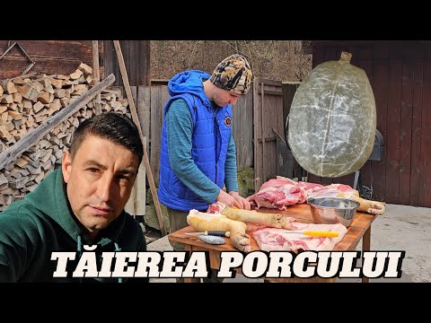PORC DE 200 KG – TĂIEREA PORCULUI  IN APUSENI TRADITII DE CRACIUN