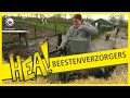 HEA! Beestenverzorgers