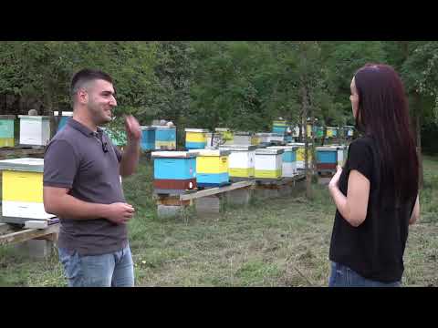 VREDNA PČELA BRUSA 7. EMISIJA - PČELINJAK DRAGIŠE MILIKIĆA