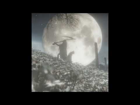 free x post punk x пачка сигарет х lizer type beat