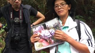 Hanging coffins history, Sagada 2/2 (HD)