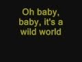 cat stevens wild world cover+lyrics 