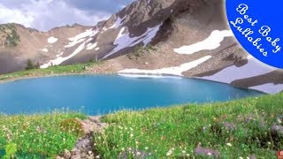 RELAXING LULLABIES Lullaby For Babies To Go To Sleep Baby Music  Lullaby Songs Go To Sleep
