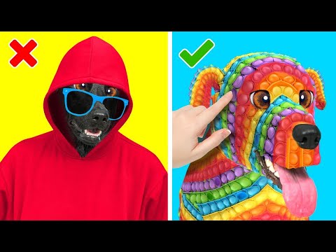 Cum să furișezi MÂNCARE și ANIMALE – Dacă câinii s-ar comporta ca oamenii | Faze Zona De Învățare