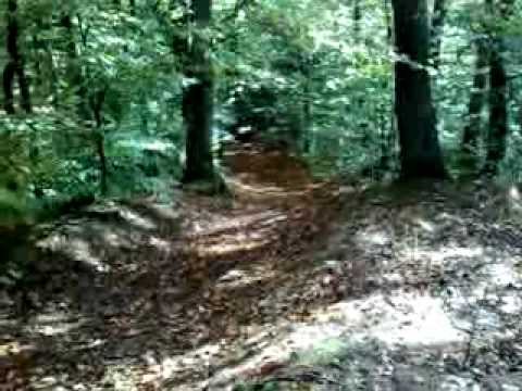 47.DEČKI  ŽUTNICE - Prema Jagušićevom dedu