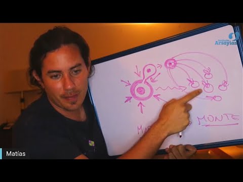 Day 297 REPRODUCTIVE SYSTEM - Matias De Stefano - English Edit