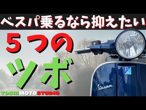 ベスパ アフィニスについて詳しく解説