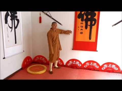 Shaolin Kung Fu : Hard Qigong instructional video Part 1