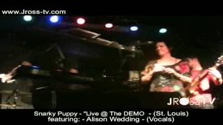 James Ross @ Snarky Puppy featuring Alison Wedding @ The DEMO - (St. Louis) www.Jross-tv.com