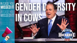 THE OUTRAGE! Are Cows Being SEEN But Not HEARD! | ICYMI | Huckabee