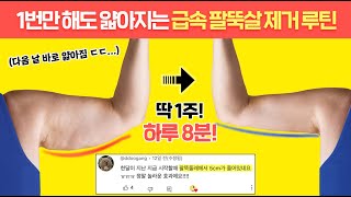 이 동작 딱 3일만 해보세요. ‘출렁이는 팔뚝살’이 ‘신기할 정도로’ 금방 얇아집니다. (레전드 동작 모음집)