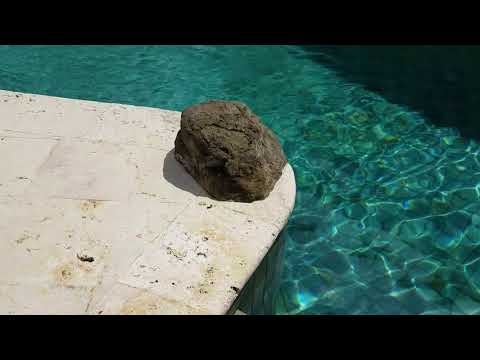 Videos del Villa Buena Onda 4★ en Coco, Costa Rica
Ver Más
Ver
Precios
14
Cerrar
Consulta por Whatsapp 🇦🇷
Booking
Tripadvisor
Expedia
Travelocity
Orbitz
Priceline
Trip
Skyscanner
Despegar
Kayak
Hoteles
Destinia
Trivago
Turismocity
