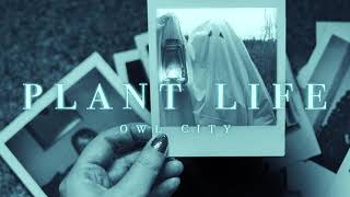 Owl City [Plant Life] - Unofficial Music Video