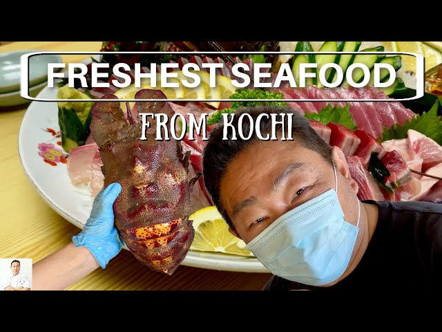 The Place Where The Freshest Seafood Comes From - Making Sushi From Kochi Seafood