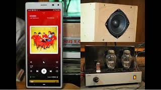 【空気録音】RYDEEN / YMO(Spotify used)を真空管アンプ(300B)と秋月350円SP改(バックロード)で鳴らしてみました(recorded at 2.5 meter away)