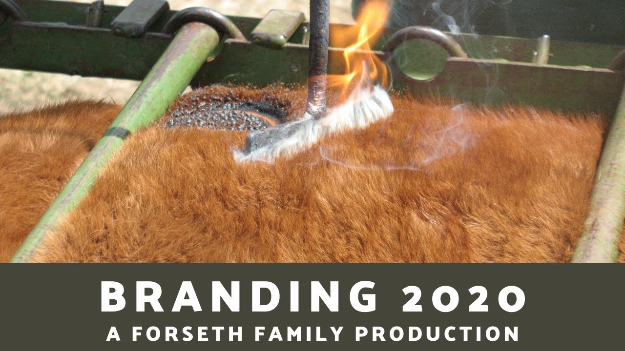 Branding 2020 thumbnail