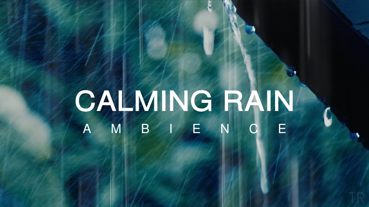Calm & Gentle Rain Sounds | Relaxing Ambience for Sleep | Mediation | Focus | Study