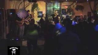 Blue Dogs élőben, Blue Dogs live, Rekettyés