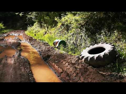 Drumul Marmurei prin pădure spre Rusca, din lunca Cernei