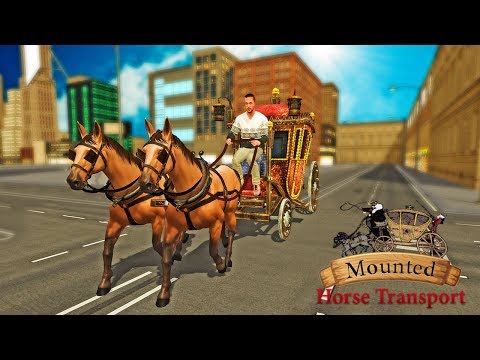Mounted Horse Passenger Transport Video