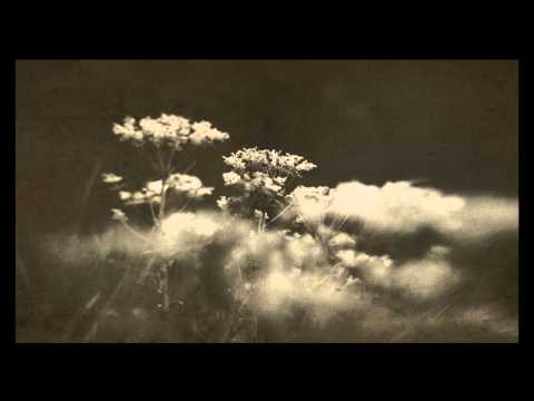 thisisthenewshit777’s Video 143498565181 Vq2L4PNkKEw