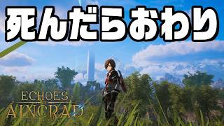 【SAO最新作】デスゲームの世界で冒険する『 Echoes of Aincrad 』