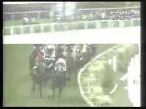 GP Diana (Gr.I) - SP - 2009 - Vencedora: Presente / J.Moreira