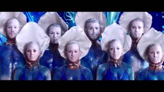 Les Huîtres Lyrics English Translation