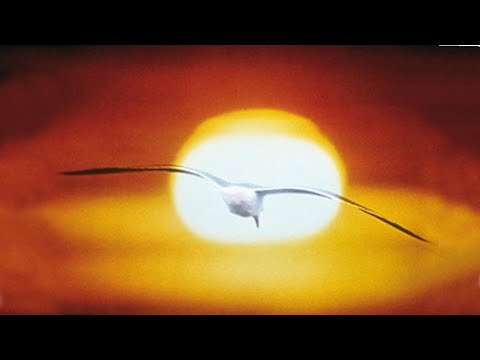 DIE MÖWE JONATHAN - Trailer (1973)