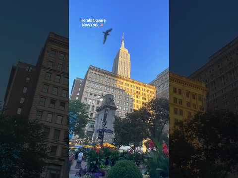 NewYork 🇺🇸🇺🇸🇺🇸
