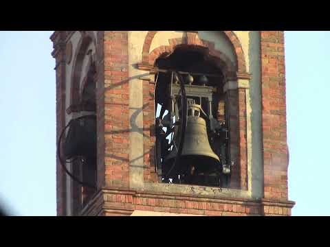 Le campane di Palazzo Pignano (CR) Fraz. Scannabue - Chiesa Parr. di S. Giovanni Battista (2) v. 634