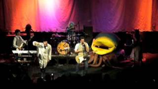 Girls on Trampolines- Ludo