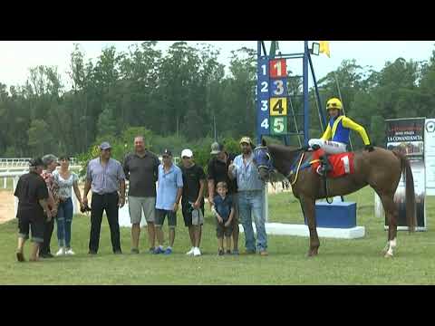 SINT MELO 220305 c01 - 1° CAROLLA VISTA