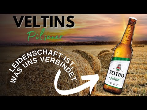 Veltins Pilsener 🍺 Krasser Veltins Bier Test 🌾 Biertest von den geilen Testoleros