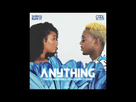 Anything - Timeka Marshall, Skorch Bun It, CoolBlaze, College Boy Jesse