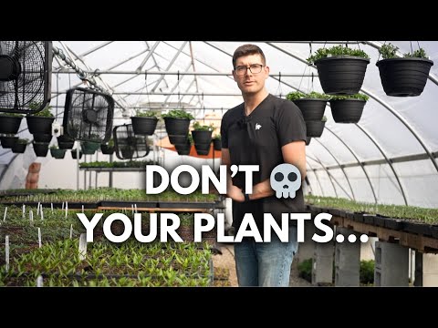 What Matt Damon The Martian Should Have Known Before Growing Indoor Potatoes