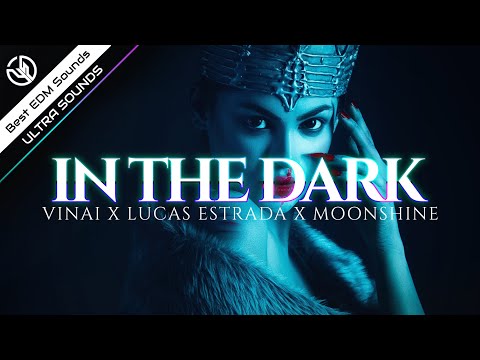 VINAI x Lucas Estrada x Moonshine - In The Dark (feat. Polarwulf)